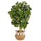 4ft. Schefflera Artificial Tree in Boho Chic Handmade Natural Cotton Woven Planter with Tassels (Real Touch)